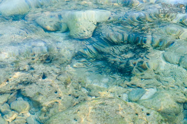 layag layag island nasugbu batangas