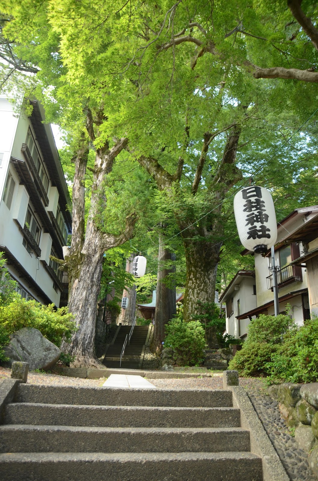 修善寺悠閒一天遊 感受伊豆裡的小京都