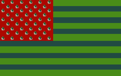 Koopa version of the American Flag.