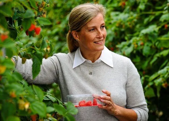 New For­est Fruit com­pa­ny produces strawberries and a new crop, blue honeysuckle berries. The countess wore a grey cashmere sweater