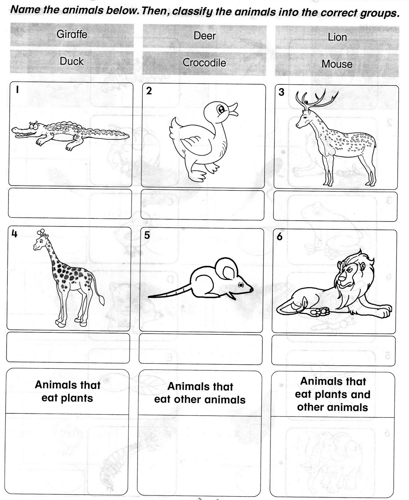 uniquely animals Questions