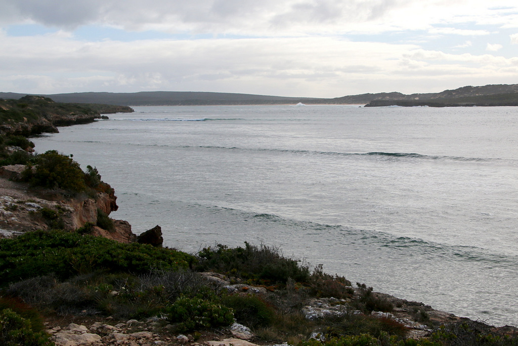 Bushranger Venus Bay