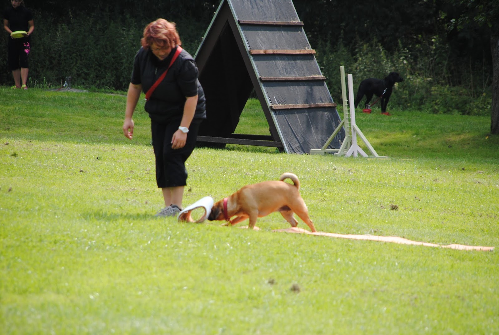 Hier Tobt Das Wahre Leben Training Bei Fitness Liebe In Peine