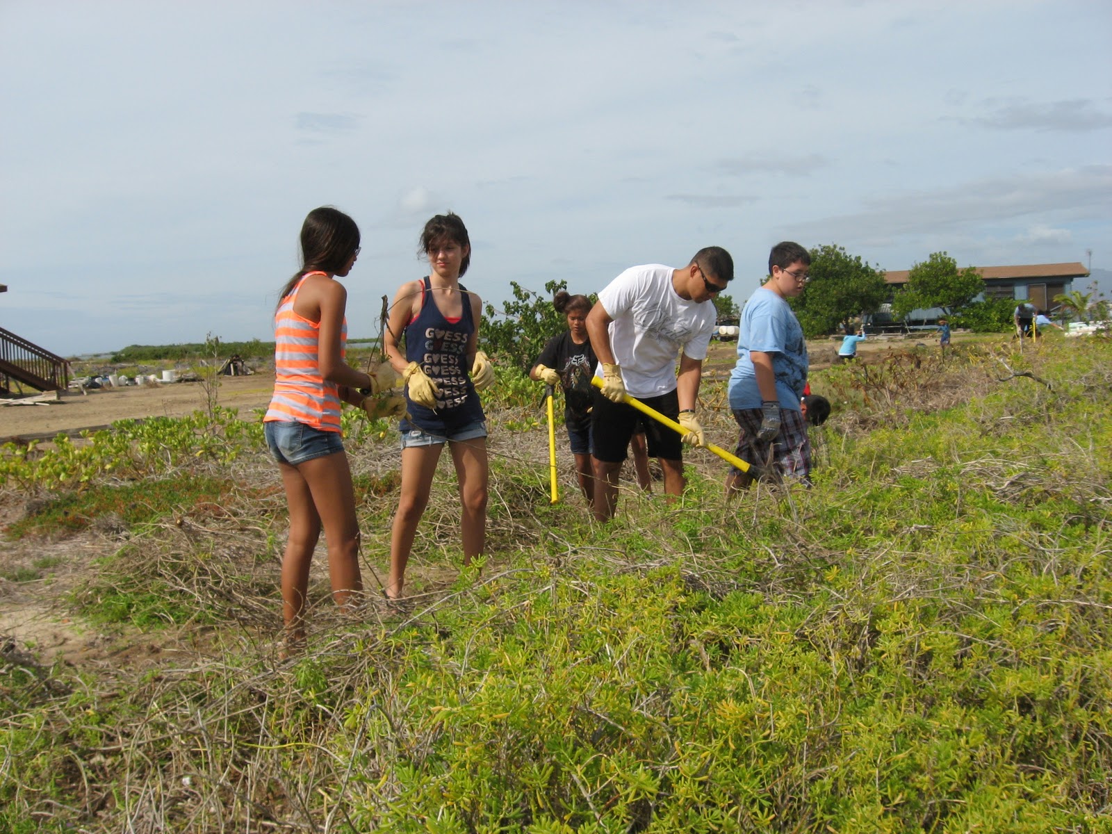 Mililani Middle School Tree Huggers Malama Mokauea Fishing Village, O