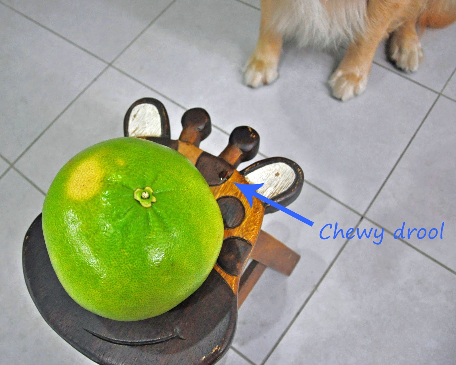 It's Chewy Time! MidAutumn Festival = Pomelo Hat!