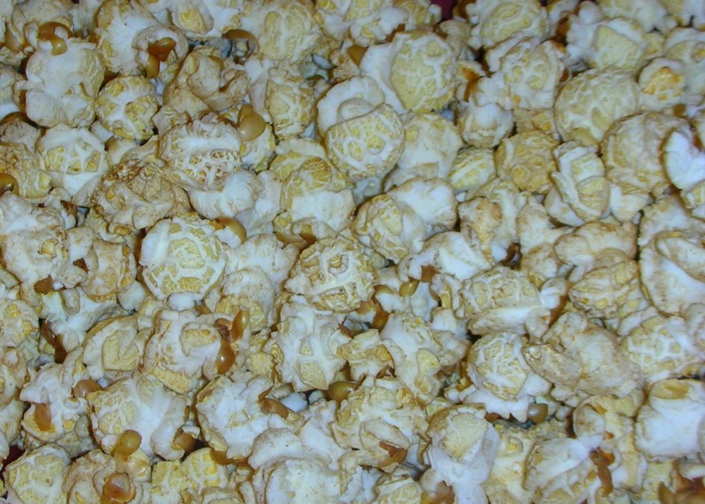 Too Old to Know Better Magic Mushroom popcorm