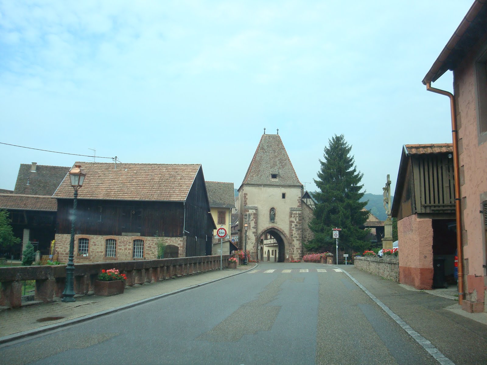 rowdy-in-germany-alsace-wine-road