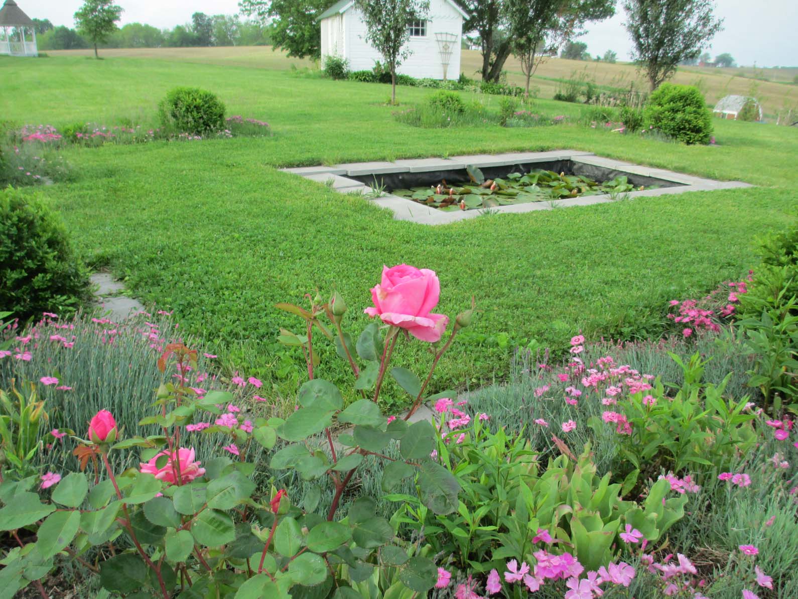 Garden Fancy Late May Consolidation and Improvement