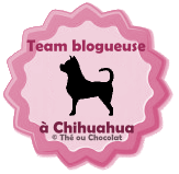 Team Blogueuse à chien