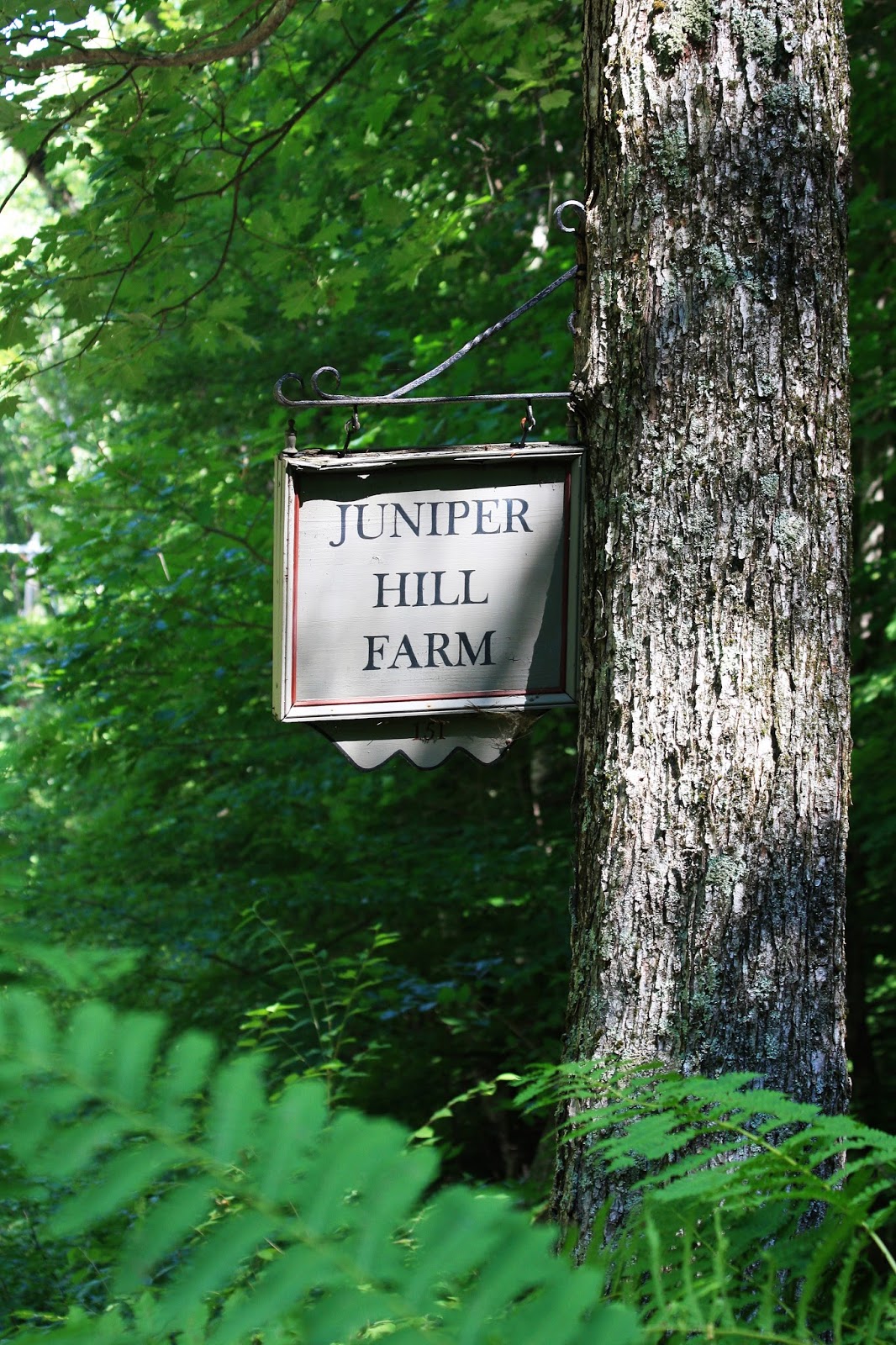 Wonderful Life Farm Garden Tour Juniper Hill Farm