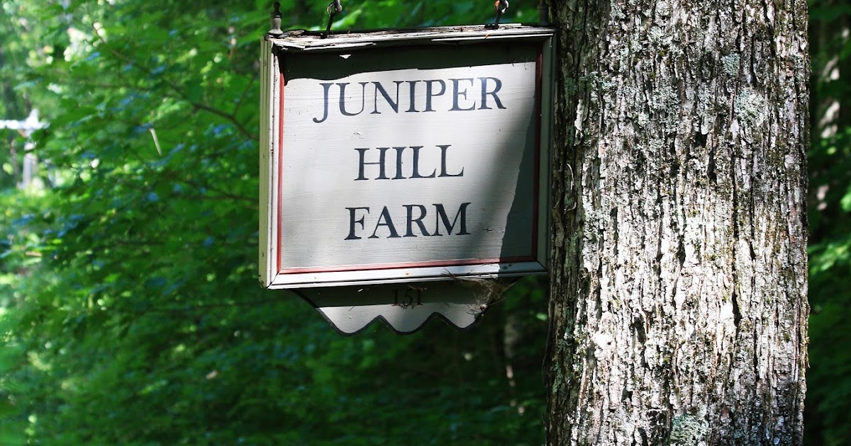 Wonderful Life Farm Garden Tour Juniper Hill Farm