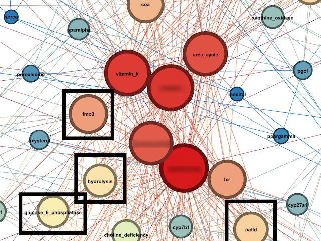 network9-annot.png