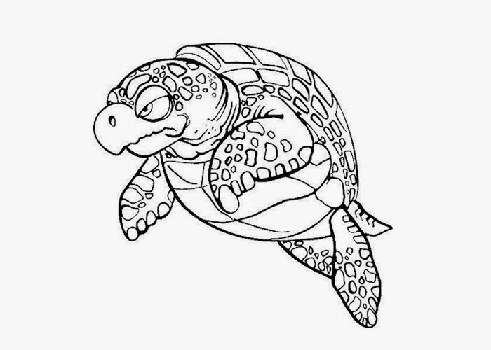 Turtle coloring pages | Free Coloring Pages and Coloring Books for Kids