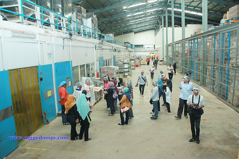 Boh cheeding bukit teh ladang kerja kosong