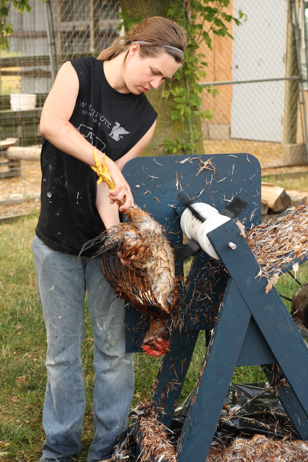 Third Day Farms Chicken Butchering