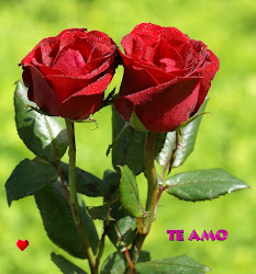 rosas hermosas mas flores bellas imagenes mundo rosa roses compartir escribe correo enviar mas perfil whatsapp