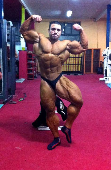 Resultado de imagem para Mehdi Hatami muscle