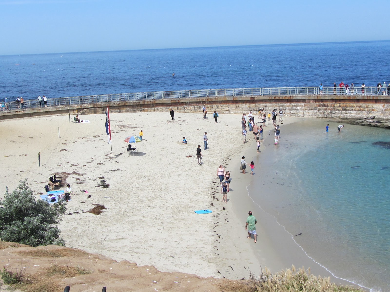 Enjoy San Diego La Jolla Children`s Pool