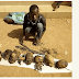 25year Old Nigerian Man Nabbed With 7 Human Heads