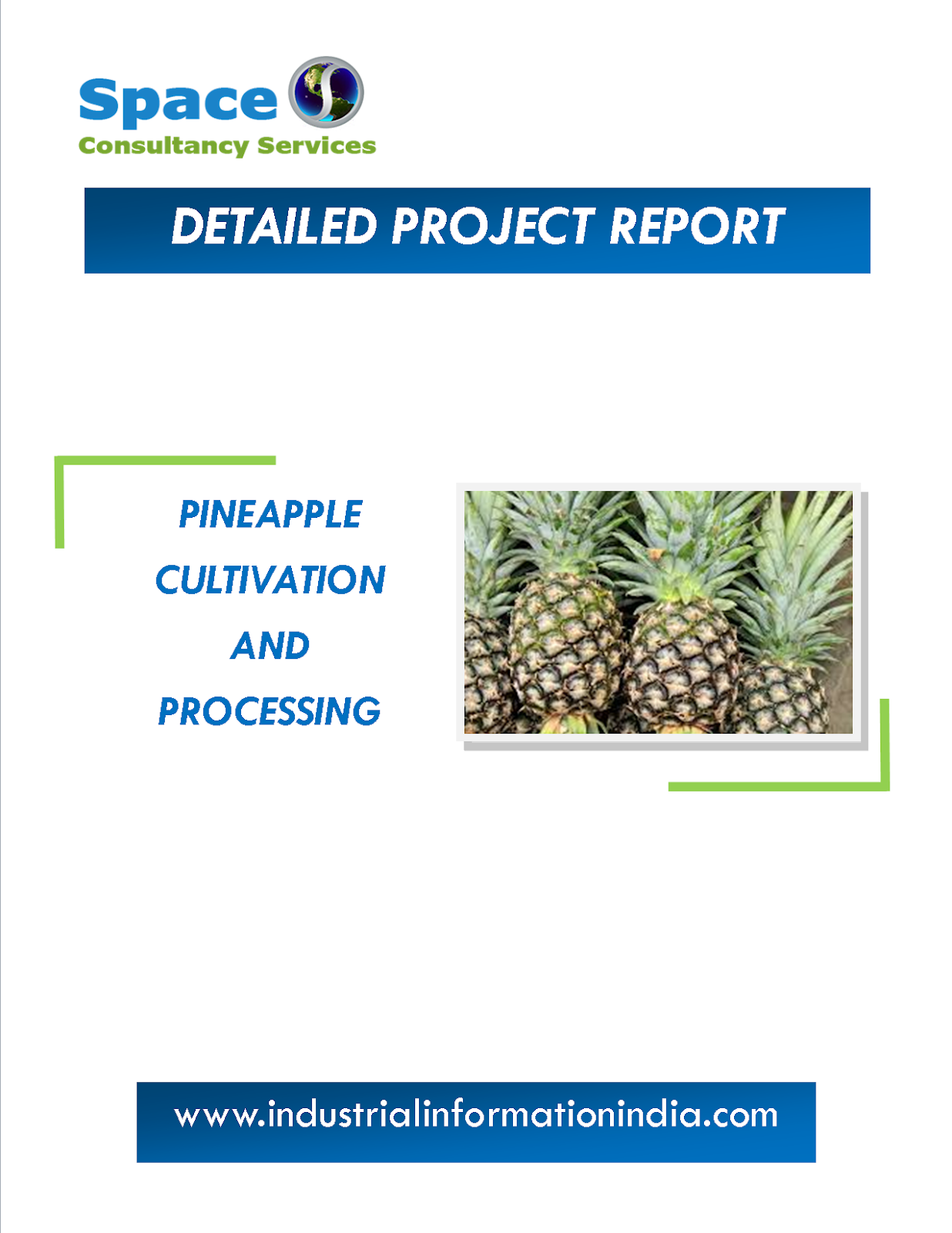 Pineapple Cultivation and Processing Project Report Space Consultancy Services
