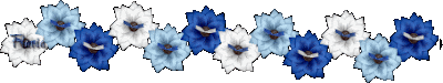 braflorrPL.gif