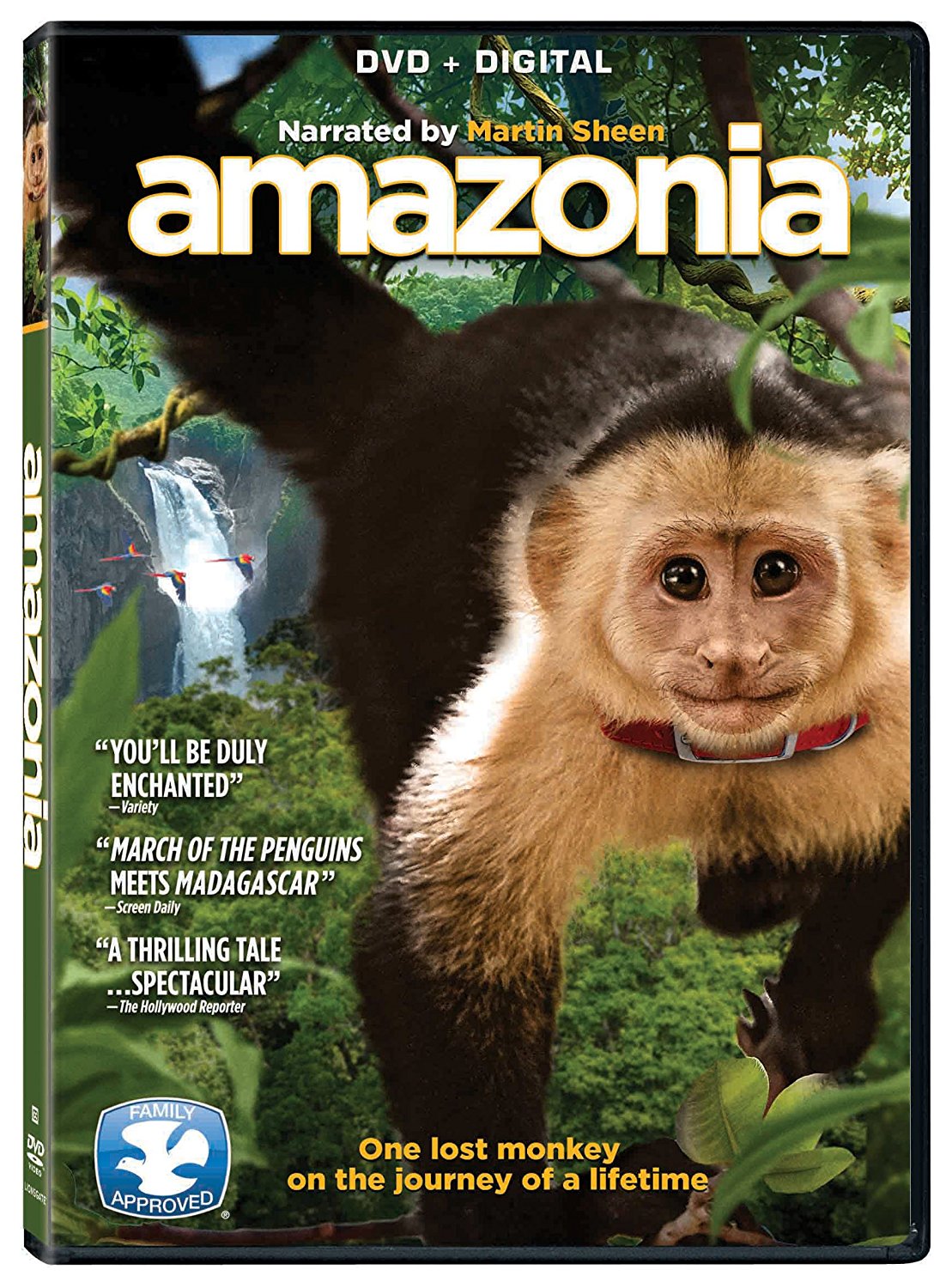 REAL MOVIE NEWS Amazonia DVD Review