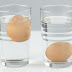 Ketahui Ciri Kualitas Telur Yang Baik Sebelum Mengonsumsinya