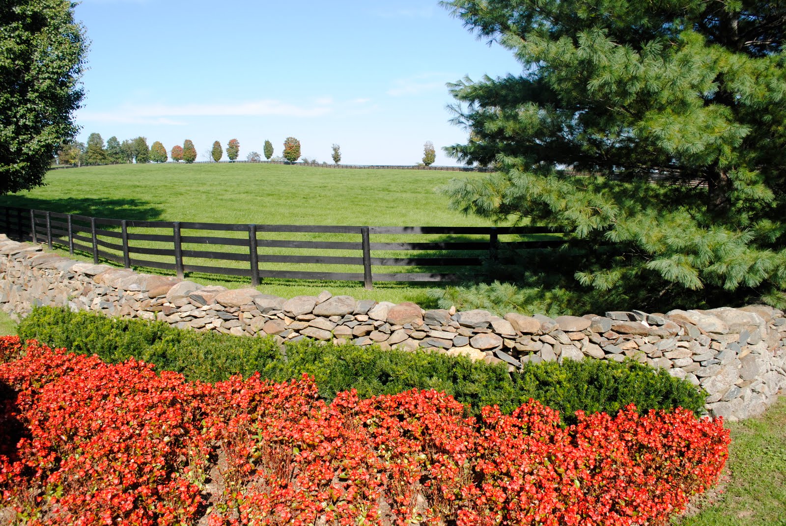 Shenandoah River, Blue Riidge Mountains and Northern Virginia Horse