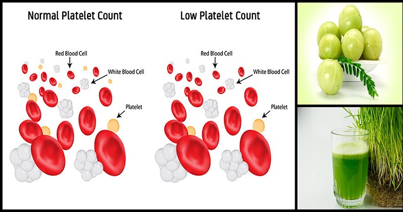 Increase Your Platelet Count the Natural Way - Dr. Farrah MD