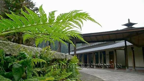 內湖國小全台最美的森林小學|南投鹿谷景點