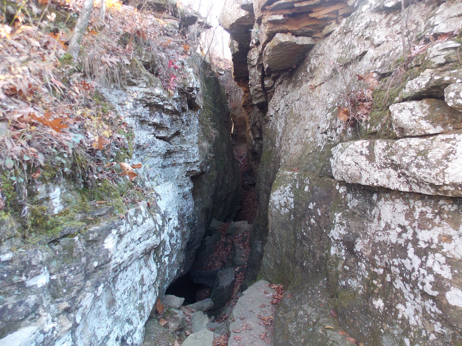 The Schramm Journey: Devil's Den State Park, Arkansas