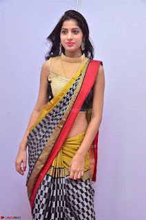 Naziya Khan Model in Saree At Kala Silk Handloom Expo Dec 2017~  Exclusive Galleries 006