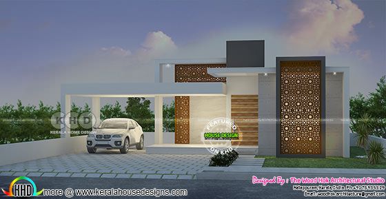 Single floor Modern Small  contemporary villa 980 sq-ft