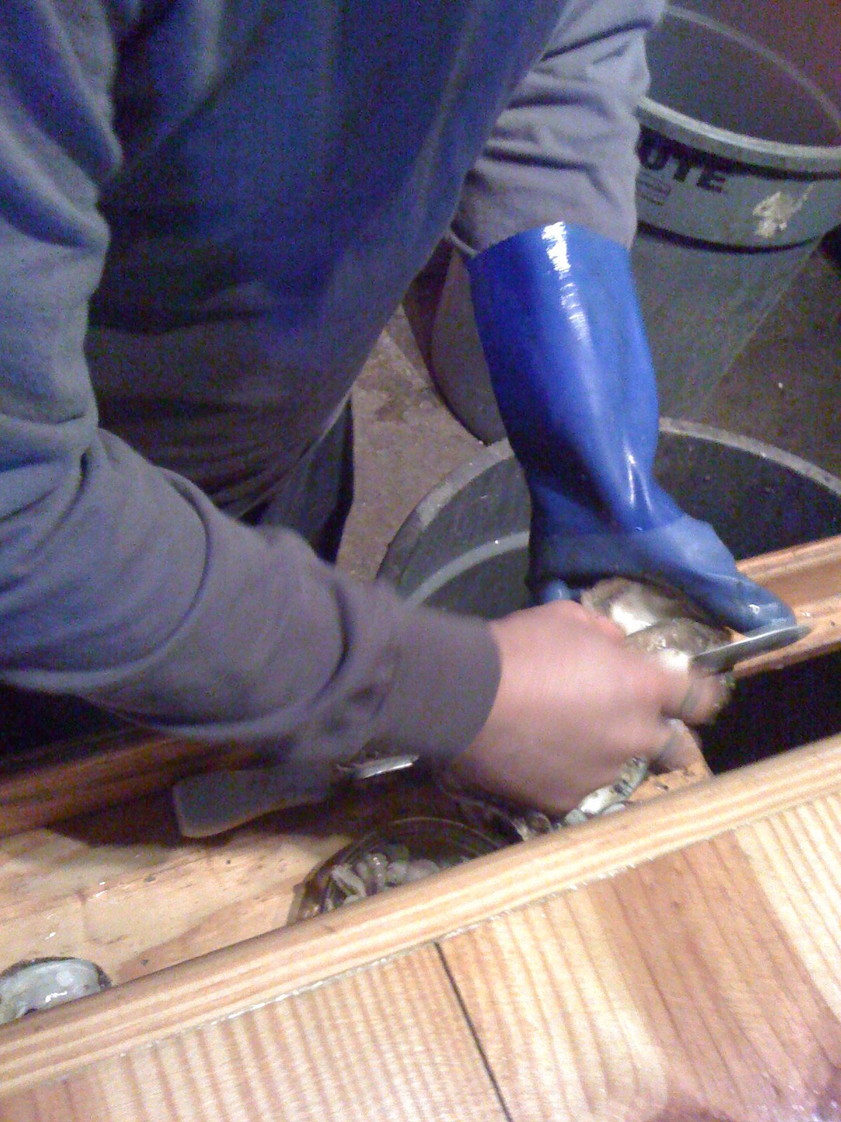 Carolina Foodie SWAN LAKE & OYSTERS A GREAT, LOCAL HOLIDAY TREAT