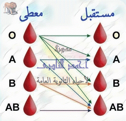 فصائل الدم - الكروموسوم رقم 9 - مدونة  أحمد النادى لأحياء الثانوية العامة