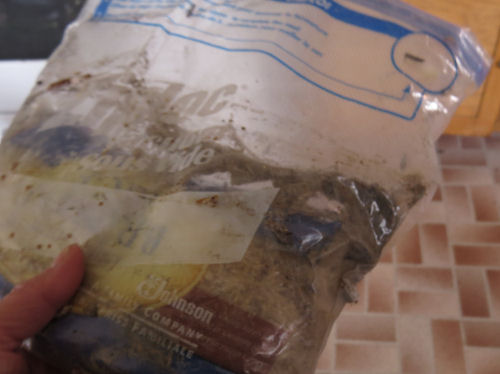 bag with moth larvae inside