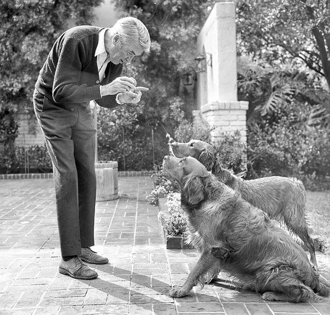 Jimmy Stewart S Dog Named Beau Jimmy Stewart S Dog Named Beau