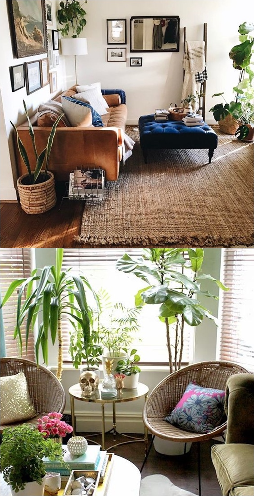 Sala de estar com sofá, almofadas e com decorações usando vasos de plantas