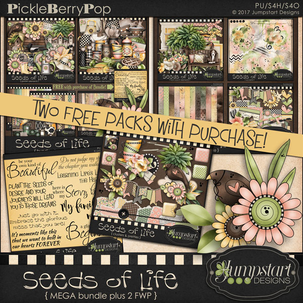THE Art of IMAGINATION Seeds of Life Kit by Jumpstart Designs