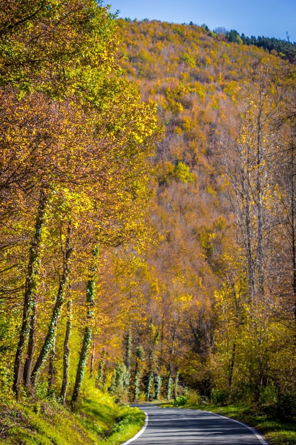 España, Navarra, Pirineo