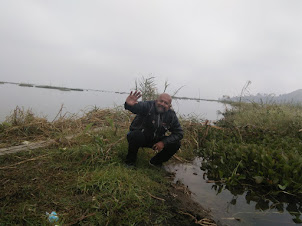 The unbelievable wonder of stepping and walking on a PHUNDI on Loktak lake.