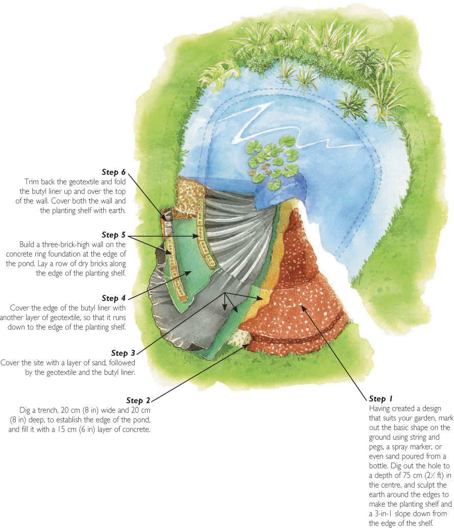 building-a-wildlife-pond