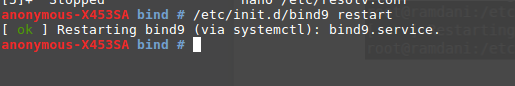X,. Start bind. Start bind. Dns на дебиан. Start bind.