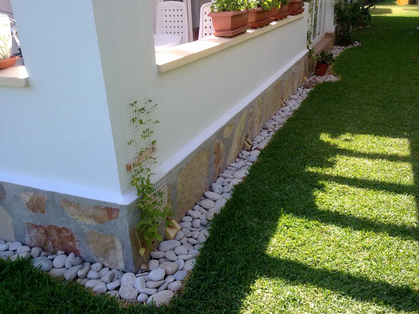 Bob's Bunny Bunny slang for rabbit. Rabbit Verb. To talk, often