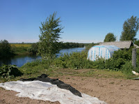 Теплица PhDrDAK специального расположения на берегу реки Моша в Мозолово