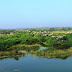 Lets take a walk in paradise - Nelapattu Birds Sanctuary, Andhra Pradesh
