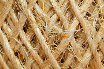 Hewan yang paling sering dimanfaatkan untuk bahan serat filamen adalah