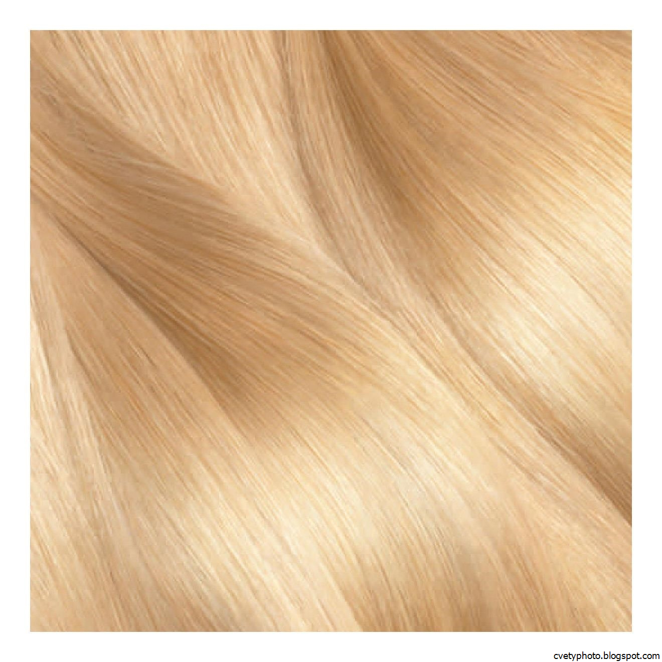 Блонд Палитра Цветов Фото