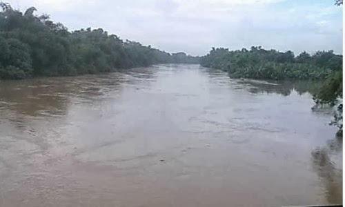 debit air bengawan solo meninggi dilihat dari jembatan mojo semanggi