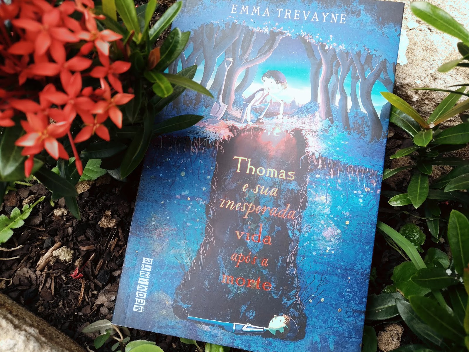 THOMAS E SUA INESPERADA VIDA APÓS A MORTE - EMMA TREVAYNE RESENHA: THOMAS E SUA INESPERADA VIDA APÓS A MORTE - EMMA TREVAYNE